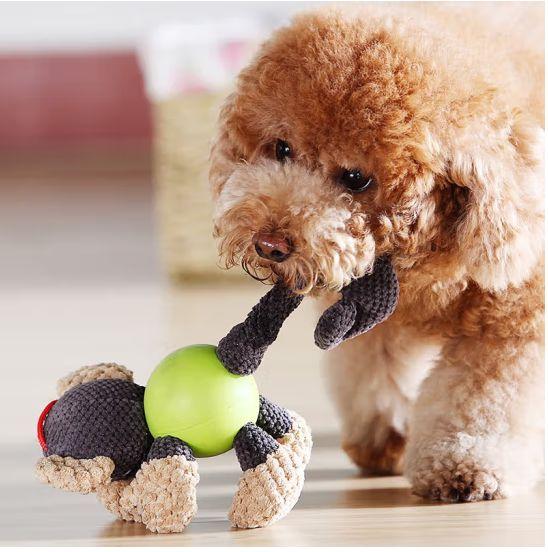 Ας αποκαλύψουμε τη μαγεία των παιχνιδιών για κατοικίδια